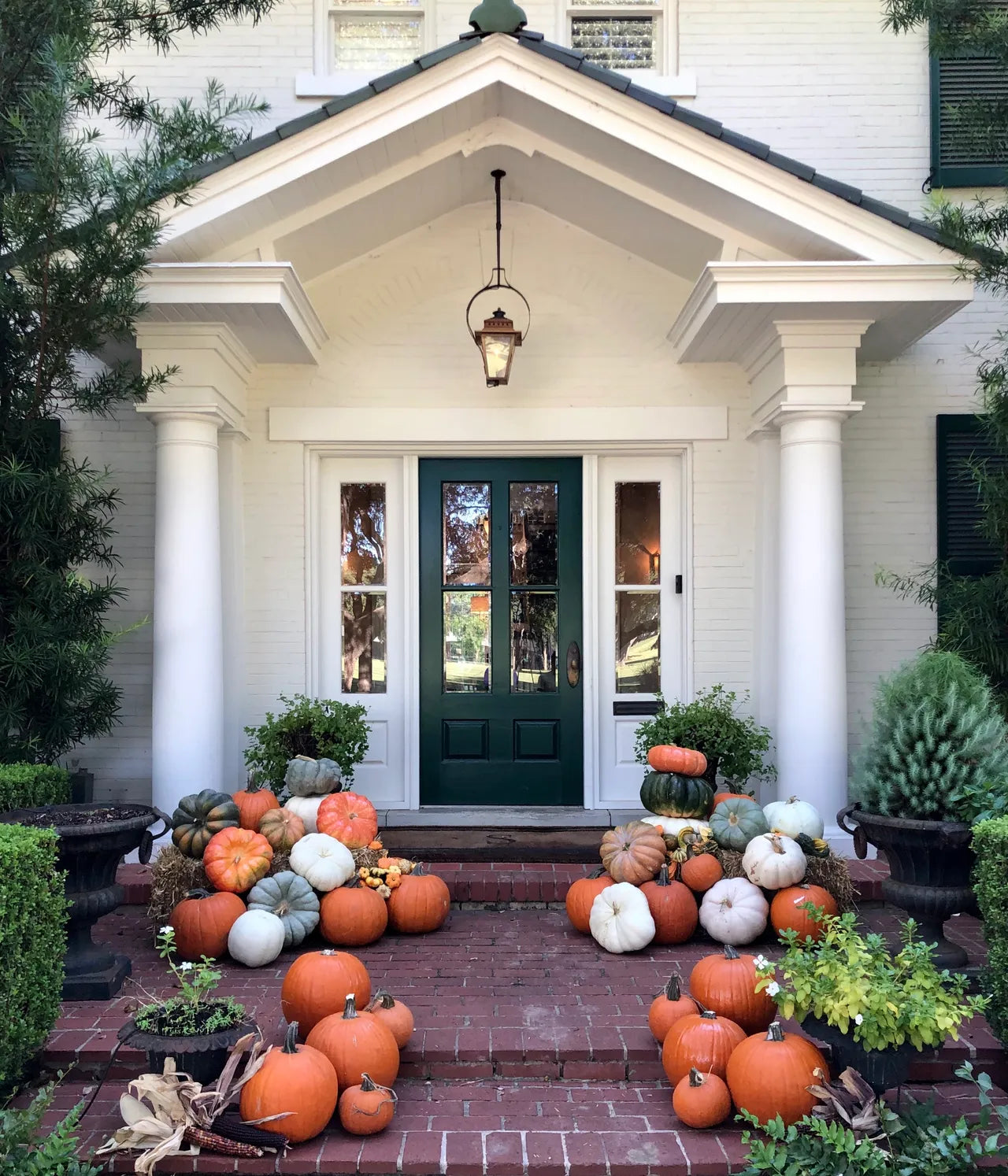 Color Neutral Package