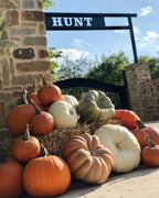 Color Neutral Package